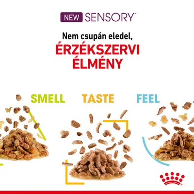 NEW SENSORY. Nem csupán eledel, ÉRZÉKSZERVI ÉLMÉNY. SMELL, TASTE, FEEL feliratok három adag állateledel felett. Royal Canin logó.