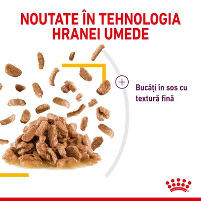 NOUTATE ÎN TEHNOLOGIA HRANEI UMEDE. Bucăți în sos cu textură fină. Imagine cu hrană umedă sub formă de bucăți în sos. Sigla Royal Canin vizibilă jos.