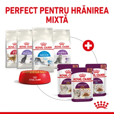 Pungi și plicuri Royal Canin pentru pisici: Fit, Sterilised, Indoor 27, Sensible, Sensory Smell, Sensory Taste, Sensory Feel. Text vizibil: Perfect pentru hrănirea mixtă.