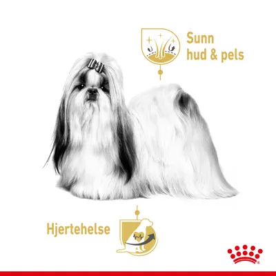 Royal Canin Shih Tzu Adult Mousse