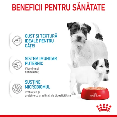 Beneficii pentru sănătate: gust și textură ideale pentru căței, sistem imunitar puternic cu vitamine și antioxidanți, susține microbiomul cu prebiotice și proteine digerabile. Royal Canin.
