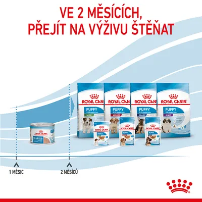 Ve 2 měsících, přejít na výživu štěňat. Royal Canin Starter pro 1 měsíc, od 2 měsíců řada Royal Canin Puppy Mini, Medium, Maxi, Giant s obrázky štěňat na obalech.