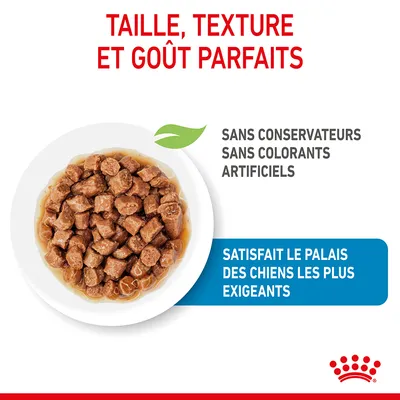 Taille, texture et goût parfaits. Sans conservateurs, sans colorants artificiels. Satisfait le palais des chiens les plus exigeants.