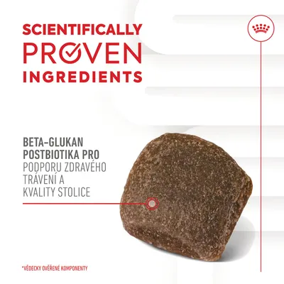 SCIENTIFICALLY PROVEN INGREDIENTS, beta-glukan, postbiotika pro podporu zdravého trávení a kvality stolice, vědecky ověřené komponenty, detail granule.