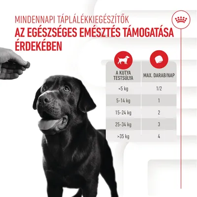 Etetési útmutató kutyáknak: testsúly <5 kg 1/2 db, 5–14 kg 1 db, 15–24 kg 2 db, 25–34 kg 3 db, >35 kg 4 db naponta. Mindennapi táplálékkiegészítők az egészséges emésztésért.