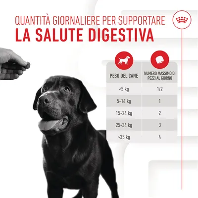 Quantità giornaliere per la salute digestiva: tabella con peso del cane e numero massimo di pezzi al giorno, da 1/2 pezzo per <5 kg a 4 pezzi per >35 kg.