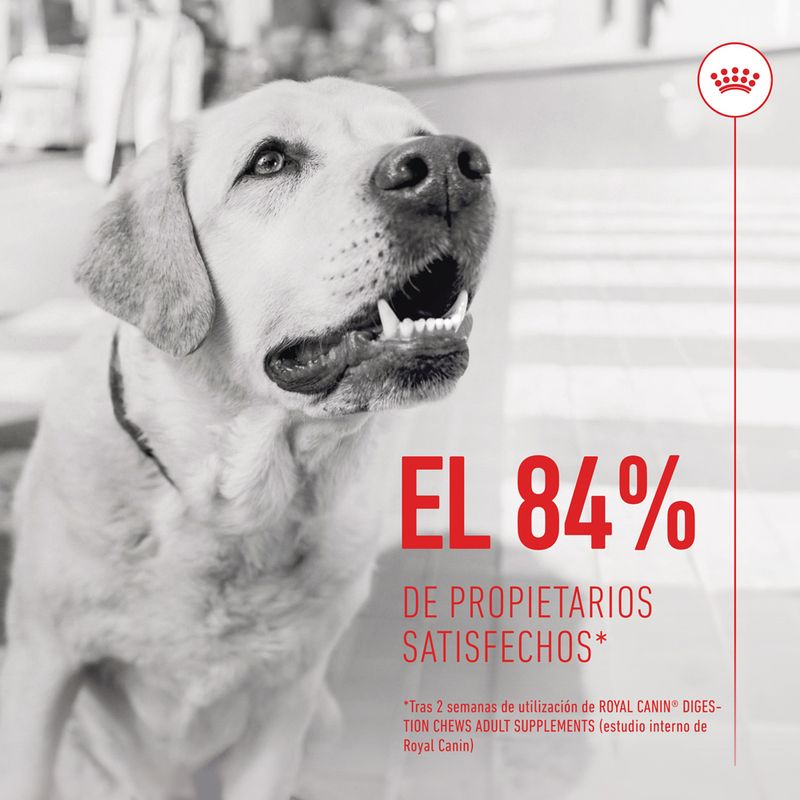 Royal Canin Digestion Adult suplemento masticable