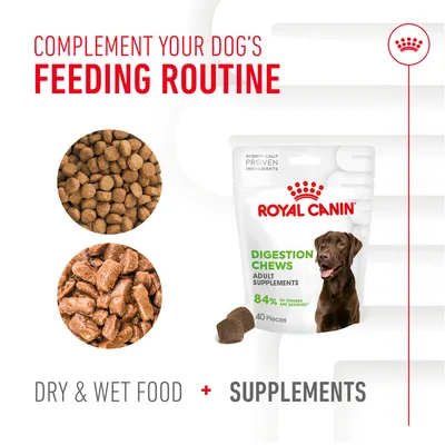 Image shows dry food, wet food, and a pack of digestion chews supplements with text: Complement your dog's feeding routine. Dry & wet food plus supplements.