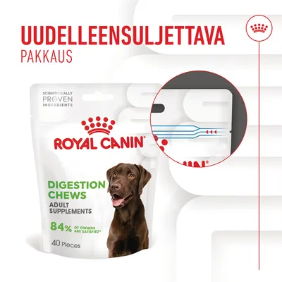 Royal Canin Digestion Chews Adult Supplements -pussi, 40 kpl. Uudelleensuljettava pakkaus. 84 % omistajista tyytyväisiä. Kuvassa ruskea koira ja lähikuva sulkumekanismista.