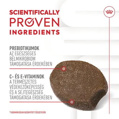 SCIENTIFICALLY PROVEN INGREDIENTS, prebiotikumok az egészséges bélmikrobiom támogatásáért, C- és E-vitaminok a védekezőképesség és sejtegészség támogatásáért. Angol szöveg.
