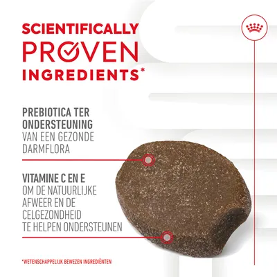 Tekst: Scientifically proven ingredients. Prebiotica ter ondersteuning van een gezonde darmflora. Vitamine C en E om de natuurlijke afweer en celgezondheid te helpen ondersteunen.