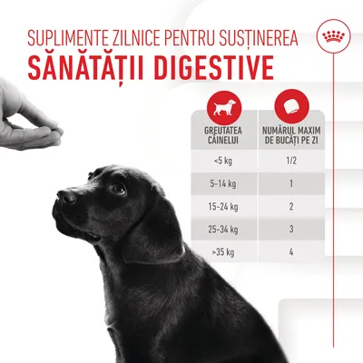 Suplimente zilnice pentru susținerea sănătății digestive. Tabel: greutatea câinelui și numărul maxim de bucăți pe zi, de la 1/2 pentru <5 kg până la 4 pentru >35 kg.