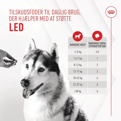 Tilskudsfoder til daglig brug, der hjælper med at støtte led. Fodringsvejledning: hundens vægt <1,5 kg 1/2 stk, 1,5–7 kg 1 stk, 8–12 kg 2 stk, 13–17 kg 3 stk, 18–22 kg 4 stk, 23–27 kg 5 stk, >28 kg 6 stk.