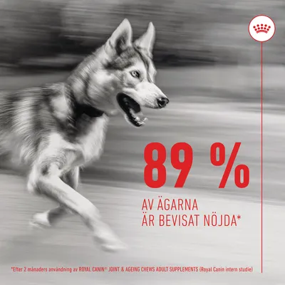 89 % av ägarna är bevisat nöjda* Efter 2 månaders användning av ROYAL CANIN JOINT & AGEING CHEWS ADULT SUPPLEMENTS (Royal Canin intern studie)