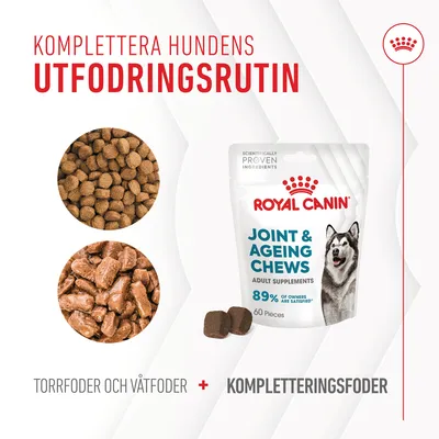 Royal Canin Joint & Ageing Chews, 60 bitar. Text: Komplettera hundens utfodringsrutin. Torrfoder och våtfoder + kompletteringsfoder. Bild på foderbitar och förpackning.