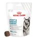 Royal Canin Joint & Ageing Adult Supplement Kauwsnacks