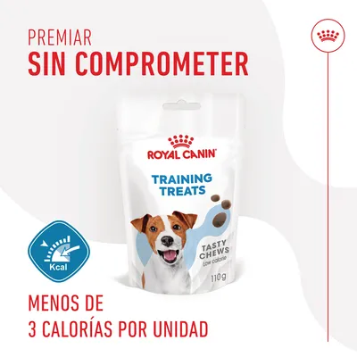 Royal Canin Training Treats Tasty Chews 110 g. Premiar sin comprometer. Menos de 3 calorías por unidad. Bajo en calorías. Imagen de envase con perro y logotipo Royal Canin.