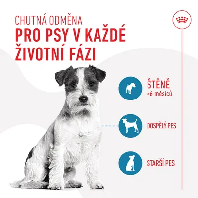 Chutná odměna pro psy v každé životní fázi. Štěně >6 měsíců, dospělý pes, starší pes. Obrázek psa a siluety tří věkových kategorií.