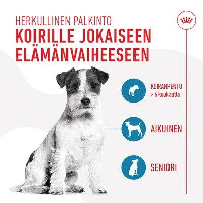 Herkullinen palkinto koirille jokaiseen elämänvaiheeseen. Koiranpentu yli 6 kuukautta, aikuinen, seniori.