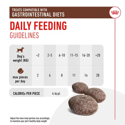 Daily feeding guidelines for treats: dogs under 2kg get 2 pieces, 2-5kg get 4, 6-10kg get 8, 11-15kg get 11, 16-20kg get 14, over 20kg get 20. Each piece is 4 kcal.
