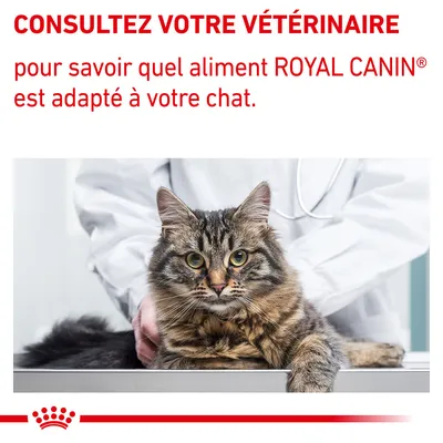 Consultez votre vétérinaire pour savoir quel aliment ROYAL CANIN est adapté à votre chat.
