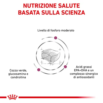 Nutrizione salute basata sulla scienza. Livello di fosforo moderato, cozza verde, glucosamina e condroitina, acidi grassi EPA+DHA e complesso sinergico di antiossidanti.