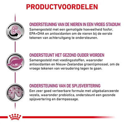 Productvoordelen: ondersteuning van de nieren in een vroeg stadium, gezond ouder worden en spijsvertering. Samengesteld met antioxidanten, prebiotica, vezels en Nieuw-Zeelandse groenlipmossel.