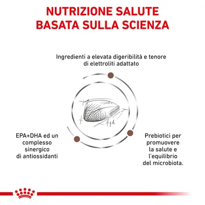 Nutrizione salute basata sulla scienza. Ingredienti a elevata digeribilità, elettroliti adattati, EPA+DHA con antiossidanti, prebiotici per salute ed equilibrio del microbiota.