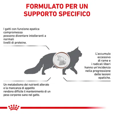 FORMULATO PER UN SUPPORTO SPECIFICO. I gatti con funzione epatica compromessa possono diventare intolleranti a normali livelli di proteine. Altri testi su metabolismo, rame e lesioni epatiche.