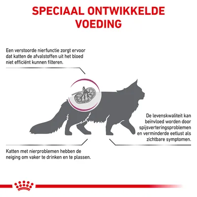 Speciaal ontwikkelde voeding. Tekst: Een verstoorde nierfunctie zorgt ervoor dat katten de afvalstoffen uit het bloed niet efficiënt kunnen filteren. Katten met nierproblemen drinken en plassen vaker. De levenskwaliteit kan beïnvloed worden door spijsverteringsproblemen en verminderde eetlust als zichtbare symptomen.