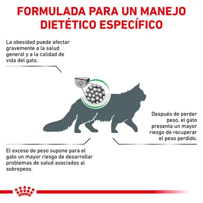 Formulada para un manejo dietético específico. La obesidad afecta la salud y calidad de vida del gato. El exceso de peso aumenta riesgos. Tras perder peso, el gato puede recuperar el peso perdido.