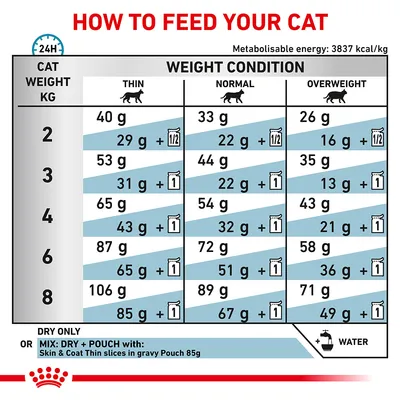 Feeding guide table for cats by weight and condition, showing daily dry food grams or mix with pouch. Includes thin, normal, overweight columns and water reminder. Energy: 3837 kcal/kg.