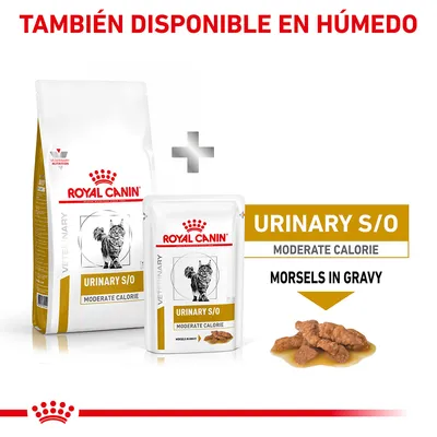 Royal Canin Urinary S/O Moderate Calorie para gatos, disponible en seco y húmedo. Texto visible: 'TAMBIÉN DISPONIBLE EN HÚMEDO', 'MORSELS IN GRAVY'. Imagen de croquetas en salsa.