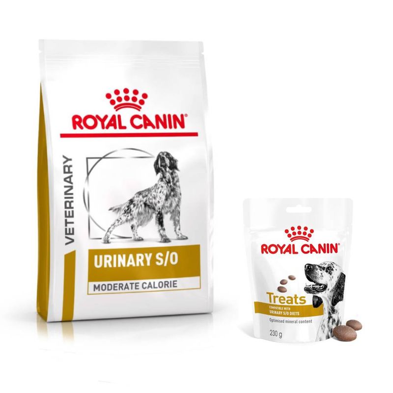 Royal Canin Veterinary Canine Urinary + 3 x 230 g Urinary Snacks kaupan päälle!