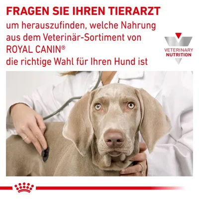 Fragen Sie Ihren Tierarzt, welche Nahrung aus dem Veterinär-Sortiment von Royal Canin die richtige Wahl für Ihren Hund ist. Veterinary Nutrition Logo sichtbar.