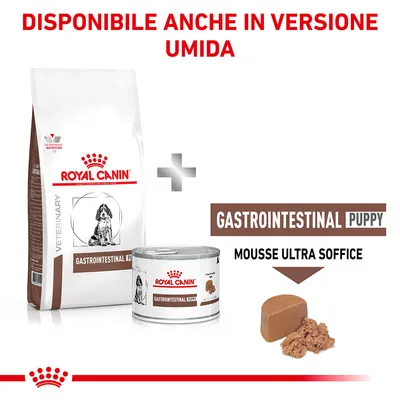 Royal Canin Gastrointestinal Puppy disponibile anche in versione umida. Sacco di crocchette, lattina e mousse ultra soffice visibili. Testo: Mousse ultra soffice, Gastrointestinal Puppy.
