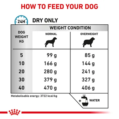 Feeding guide showing daily dry food amounts by dog weight and condition: for 5kg, 99g normal or 85g overweight; 10kg, 166g or 144g; 20kg, 280g or 241g; 30kg, 379g or 327g; 40kg, 470g or 406g.