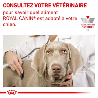 Consultez votre vétérinaire pour savoir quel aliment ROYAL CANIN est adapté à votre chien. Logo Veterinary Nutrition visible.