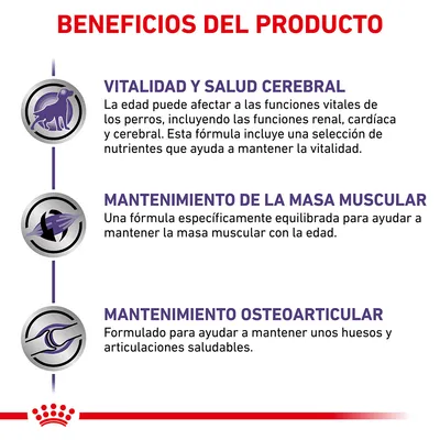 Beneficios del producto: vitalidad y salud cerebral, mantenimiento de la masa muscular, mantenimiento osteoarticular. Texto en español sobre ventajas para perros mayores.
