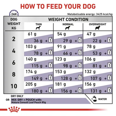 Feeding guide table showing daily dry food amounts in grams for dogs by weight and condition, with options for mixing with one 85g pouch. Includes water symbol and metabolisable energy value.