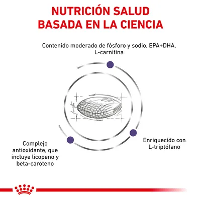 Nutrición salud basada en la ciencia. Contenido moderado de fósforo y sodio, EPA+DHA, L-carnitina. Complejo antioxidante con licopeno y beta-caroteno. Enriquecido con L-triptófano. Nutrición salud basada en la ciencia. Contenido moderado de fósforo y sodio, EPA+DHA, L-carnitina. Complejo antioxidante con licopeno y beta-caroteno. Enriquecido con L-triptófano.