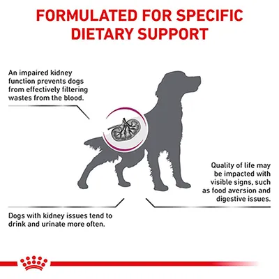 Diagram showing dietary support for kidney issues, with text on impaired kidney function, increased drinking and urination, and possible food aversion or digestive problems.