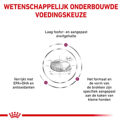 Wetenschappelijk onderbouwde voedingskeuze. Laag fosfor- en aangepast eiwitgehalte. Verrijkt met EPA+DHA en antioxidanten. Brokformaat en -vorm aangepast aan kaken van kleine honden.