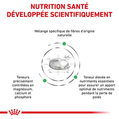 NUTRITION SANTÉ DÉVELOPPÉE SCIENTIFIQUEMENT. Mélange spécifique de fibres d’origine naturelle. Teneurs contrôlées en magnésium, calcium, phosphore. Teneur élevée en nutriments essentiels.