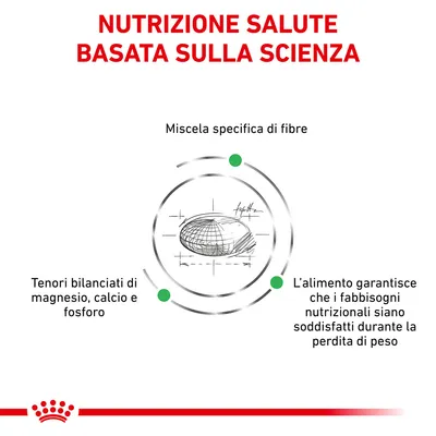 Nutrizione salute basata sulla scienza. Miscela specifica di fibre, tenori bilanciati di magnesio, calcio e fosforo. L’alimento garantisce fabbisogni nutrizionali durante la perdita di peso.