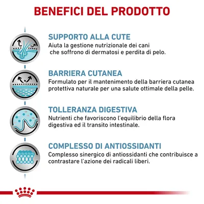 Benefici del prodotto: supporto alla cute, barriera cutanea, tolleranza digestiva, complesso di antiossidanti. Testo in italiano con descrizioni dettagliate per ciascun beneficio.