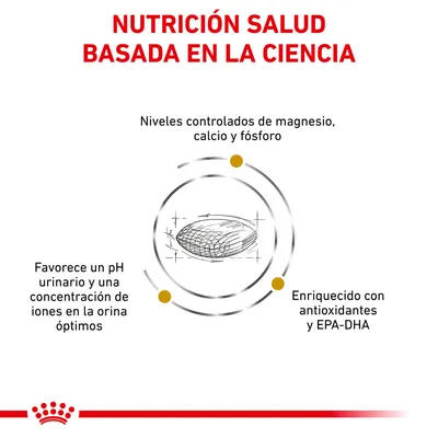 NUTRICIÓN SALUD BASADA EN LA CIENCIA. Niveles controlados de magnesio, calcio y fósforo. Favorece un pH urinario y concentración óptima de iones. Enriquecido con antioxidantes y EPA-DHA. NUTRICIÓN SALUD BASADA EN LA CIENCIA. Niveles controlados de magnesio, calcio y fósforo. Favorece un pH urinario y concentración óptima de iones. Enriquecido con antioxidantes y EPA-DHA.