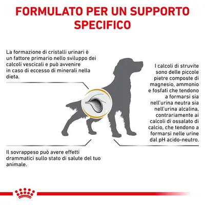 FORMULATO PER UN SUPPORTO SPECIFICO. Informazioni su cristalli urinari, calcoli vescicali e sovrappeso nei cani; spiegazione sulla formazione di calcoli di struvite e ossalato di calcio.