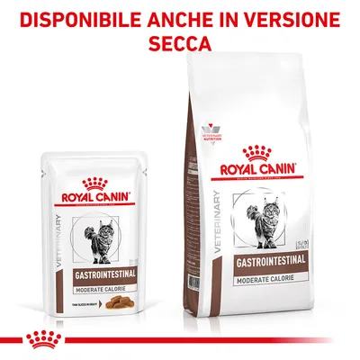 ROYAL CANIN Gastrointestinal Moderate Calorie per gatti, bustina e sacco. Testo visibile: DISPONIBILE ANCHE IN VERSIONE SECCA.