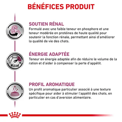 BÉNÉFICES PRODUIT : SOUTIEN RÉNAL, ÉNERGIE ADAPTÉE, PROFIL AROMATIQUE. Détails sur formulation pour fonction rénale, énergie adaptée et stimulation de l’appétit des chats.